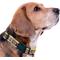 Show in main carousel: Pets First Satin Nylon Standard Dog Collar, Lsu, Small: 6 to 12-in neck, 3/8-in wide slide 4 of 6