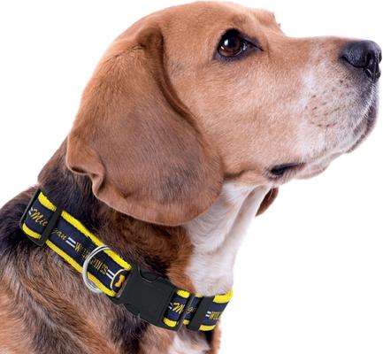 Show full view: Pets First Satin Nylon Standard Dog Collar, Michigan, Large: 14 to 24-in neck, 1-in wide slide 4 of 6