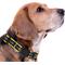 Show in main carousel: Pets First Satin Nylon Standard Dog Collar, Michigan, Small: 6 to 12-in neck, 3/8-in wide slide 4 of 6