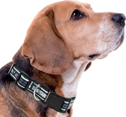 Show full view: Pets First Satin Nylon Standard Dog Collar, Michigan State, Medium: 10 to 16-in neck, 5/8-in wide slide 4 of 6