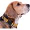 Show in main carousel: Pets First Satin Nylon Standard Dog Collar, Nashville Predators, Large: 14 to 24-in neck, 1-in wide slide 5 of 7
