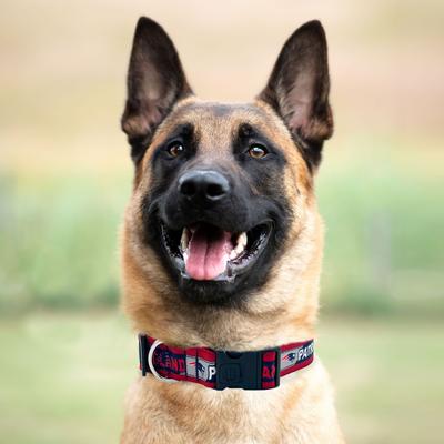 Show full view: Pets First Satin Nylon Standard Dog Collar, New England Patriots, X-Large: 22 to 32-in neck, 1.25-in wide slide 5 of 7