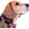 Show in main carousel: Pets First Satin Nylon Standard Dog Collar, New York Giants, Large: 14 to 24-in neck, 1-in wide slide 4 of 6