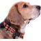 Show in main carousel: Pets First Satin Nylon Standard Dog Collar, Ohio State, Medium: 10 to 16-in neck, 5/8-in wide slide 4 of 6