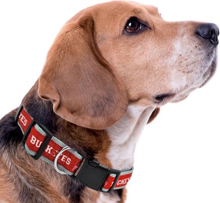 Show full view: Pets First Satin Nylon Standard Dog Collar, Ohio State, Small: 6 to 12-in neck, 3/8-in wide slide 4 of 6