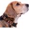 Show in main carousel: Pets First Satin Nylon Standard Dog Collar, Oklahoma, Medium: 10 to 16-in neck, 5/8-in wide slide 5 of 7