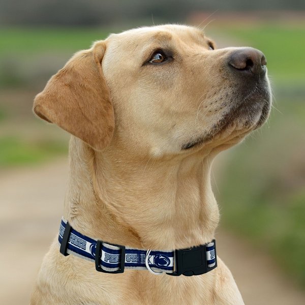 Show full view: Pets First Satin Nylon Standard Dog Collar, Penn State, Small: 6 to 12-in neck, 3/8-in wide slide 5 of 6