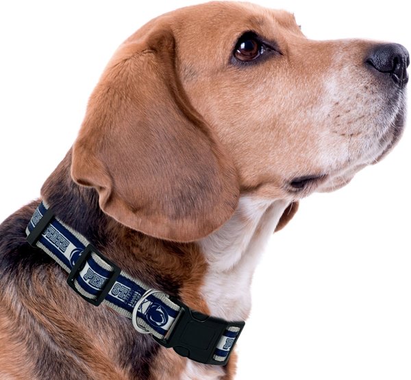 Show full view: Pets First Satin Nylon Standard Dog Collar, Penn State, Small: 6 to 12-in neck, 3/8-in wide slide 4 of 6