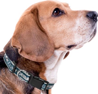 Show full view: Pets First Satin Nylon Standard Dog Collar, Philadelphia Eagles, Large: 14 to 24-in neck, 1-in wide slide 4 of 6