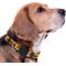 Show in main carousel: Pets First Satin Nylon Standard Dog Collar, Pittsburgh Penguins, Medium: 10 to 16-in neck, 5/8-in wide slide 5 of 7