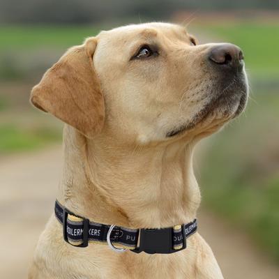 Show full view: Pets First Satin Nylon Standard Dog Collar, Purdue, Large: 14 to 24-in neck, 1-in wide slide 5 of 6