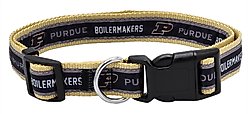 Pets First Satin Nylon Standard Dog Collar, Purdue, Medium: 10 to 16-in neck, 5/8-in wide