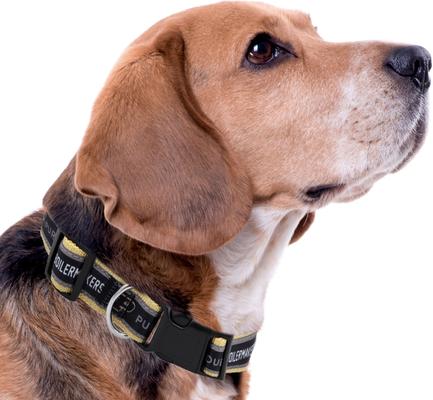 Show full view: Pets First Satin Nylon Standard Dog Collar, Purdue, Small: 6 to 12-in neck, 3/8-in wide slide 4 of 6