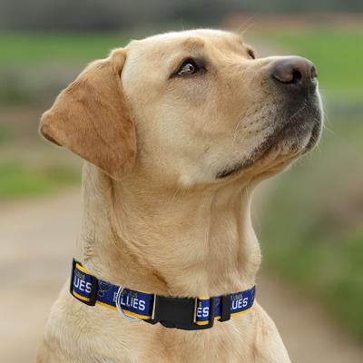 Show full view: Pets First Satin Nylon Standard Dog Collar, St.Louis Blues, Small: 6 to 12-in neck, 3/8-in wide slide 5 of 6