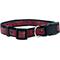 Show in main carousel: Pets First Satin Nylon Standard Dog Collar, Tampa Bay Buccaneers, Large: 14 to 24-in neck, 1-in wide slide 1 of 6