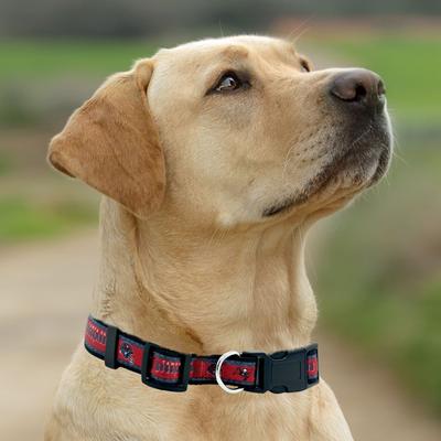 Show full view: Pets First Satin Nylon Standard Dog Collar, Tampa Bay Buccaneers, Large: 14 to 24-in neck, 1-in wide slide 5 of 6
