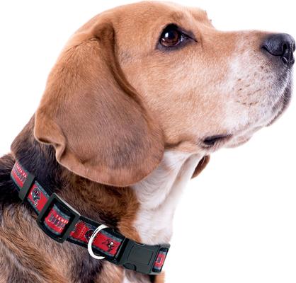 Show full view: Pets First Satin Nylon Standard Dog Collar, Tampa Bay Buccaneers, Large: 14 to 24-in neck, 1-in wide slide 4 of 6