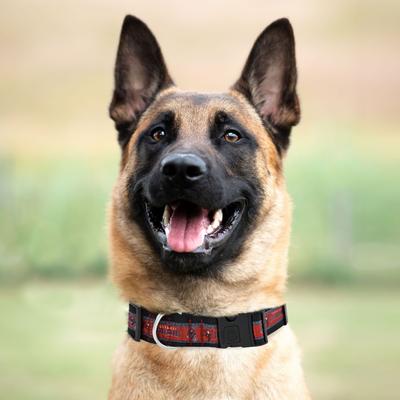 Show full view: Pets First Satin Nylon Standard Dog Collar, Tampa Bay Buccaneers, X-Large: 22 to 32-in neck, 1.25-in wide slide 3 of 6