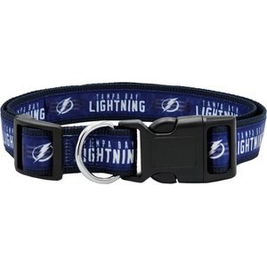 Pets First Satin Nylon Standard Dog Collar, Tampa Bay Lightning, Large: 14 to 24-in neck, 1-in wide