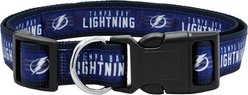 Pets First Satin Nylon Standard Dog Collar, Tampa Bay Lightning, Small: 6 to 12-in neck, 3/8-in wide