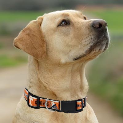 Show full view: Pets First Satin Nylon Standard Dog Collar, Tennessee, Large: 14 to 24-in neck, 1-in wide slide 5 of 6