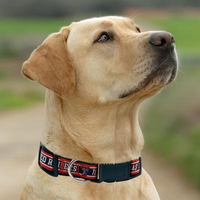 Show full view: Pets First Satin Nylon Standard Dog Collar, Texas Tech, Large: 14 to 24-in neck, 1-in wide slide 6 of 7