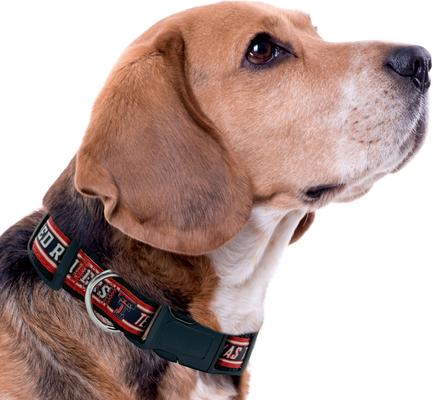 Show full view: Pets First Satin Nylon Standard Dog Collar, Texas Tech, Medium: 10 to 16-in neck, 5/8-in wide slide 4 of 6