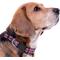 Show in main carousel: Pets First Satin Nylon Standard Dog Collar, The University of Arizona, Large: 14 to 24-in neck, 1-in wide slide 4 of 6