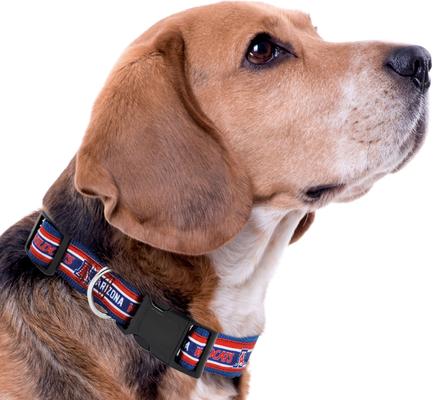 Show full view: Pets First Satin Nylon Standard Dog Collar, The University of Arizona, Small: 6 to 12-in neck, 3/8-in wide slide 4 of 6