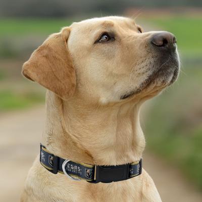 Show full view: Pets First Satin Nylon Standard Dog Collar, Vegas Golden Knights, Medium: 10 to 16-in neck, 5/8-in wide slide 4 of 5