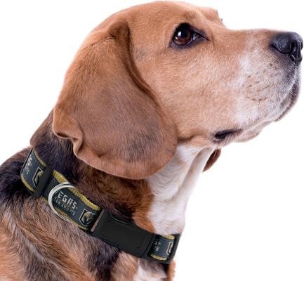 Show full view: Pets First Satin Nylon Standard Dog Collar, Vegas Golden Knights, Medium: 10 to 16-in neck, 5/8-in wide slide 3 of 5