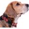 Show in main carousel: Pets First Satin Nylon Standard Dog Collar, Washington Capitals, Large: 14 to 24-in neck, 1-in wide slide 4 of 6