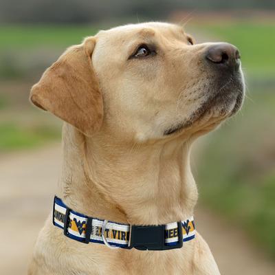 Show full view: Pets First Satin Nylon Standard Dog Collar, West Virginia, Small: 6 to 12-in neck, 3/8-in wide slide 5 of 6