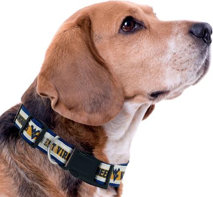 Show full view: Pets First Satin Nylon Standard Dog Collar, West Virginia, Small: 6 to 12-in neck, 3/8-in wide slide 4 of 6