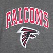 Show in main carousel: Pets First Sport Team Dog & Cat Hoodie T-Shirt, Atlanta Falcons, X-Small slide 4 of 6