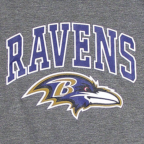 Show full view: Pets First Sport Team Dog & Cat Hoodie T-Shirt, Baltimore Ravens, Large slide 4 of 6
