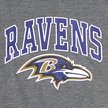 Show in main carousel: Pets First Sport Team Dog & Cat Hoodie T-Shirt, Baltimore Ravens, Large slide 4 of 6