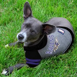 Pets First Sport Team Dog & Cat Hoodie T-Shirt, Baltimore Ravens, Small slide 2 of 5