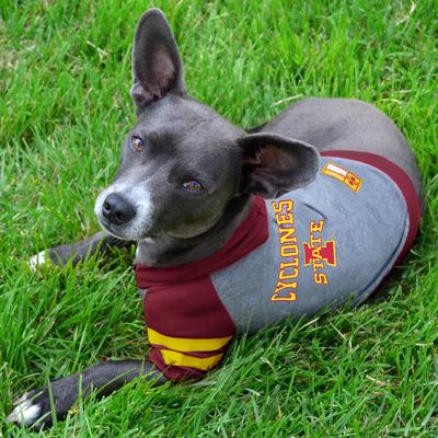 Show full view: Pets First Sport Team Dog & Cat Hoodie T-Shirt, Iowa State, Large slide 4 of 6