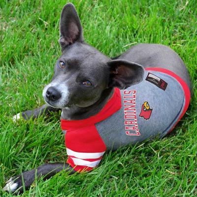 Show full view: Pets First Sport Team Dog & Cat Hoodie T-Shirt, Louisville, Large slide 4 of 5
