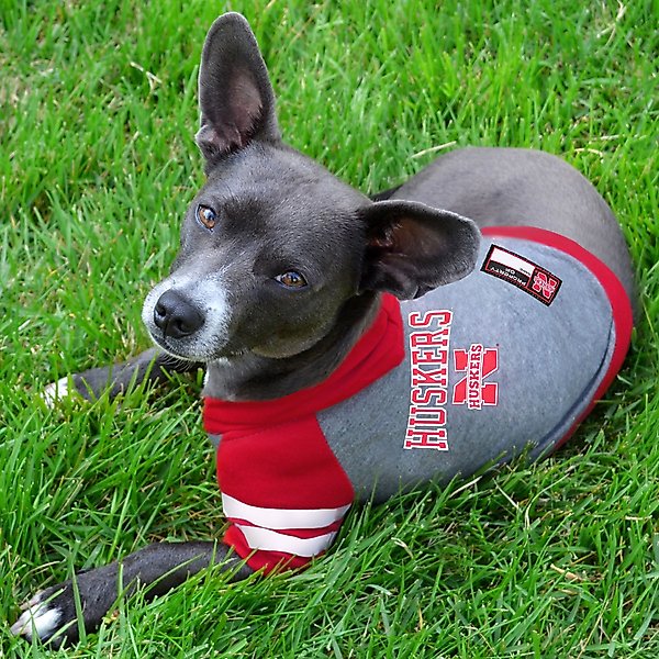 Show full view: Pets First Sport Team Dog & Cat Hoodie T-Shirt, Nebraska, Medium slide 2 of 6