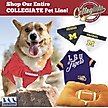 Show in main carousel: Pets First Sport Team Dog & Cat Hoodie T-Shirt, Nebraska, Medium slide 5 of 6