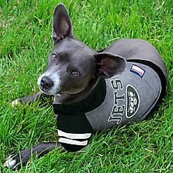 Pets First Sport Team Dog & Cat Hoodie T-Shirt, New York Jets, Medium slide 2 of 5