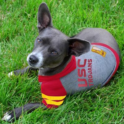 Show full view: Pets First Sport Team Dog & Cat Hoodie T-Shirt, Utah, X-Small slide 3 of 5