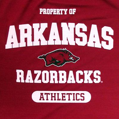 Show full view: Pets First Sport Team Dog & Cat T-Shirt, Arkansas, X-Large slide 3 of 6