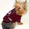 Show in main carousel: Pets First Sport Team Dog & Cat T-Shirt, Colorado Avalanche, Medium slide 3 of 7