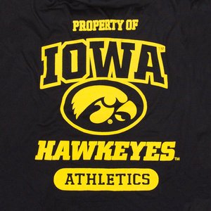 Pets First Sport Team Dog & Cat T-Shirt, Iowa, Small