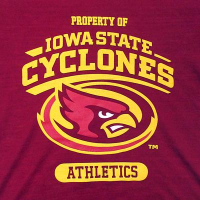 Show full view: Pets First Sport Team Dog & Cat T-Shirt, Iowa State, Medium slide 3 of 6