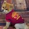 Show in main carousel: Pets First Sport Team Dog & Cat T-Shirt, Iowa State, X-Large slide 3 of 7