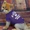 Show in main carousel: Pets First Sport Team Dog & Cat T-Shirt, Kansas State, X-Small slide 2 of 6